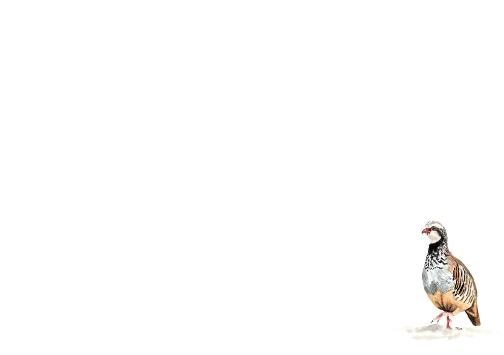 Partridge II Boxed Notecard Set