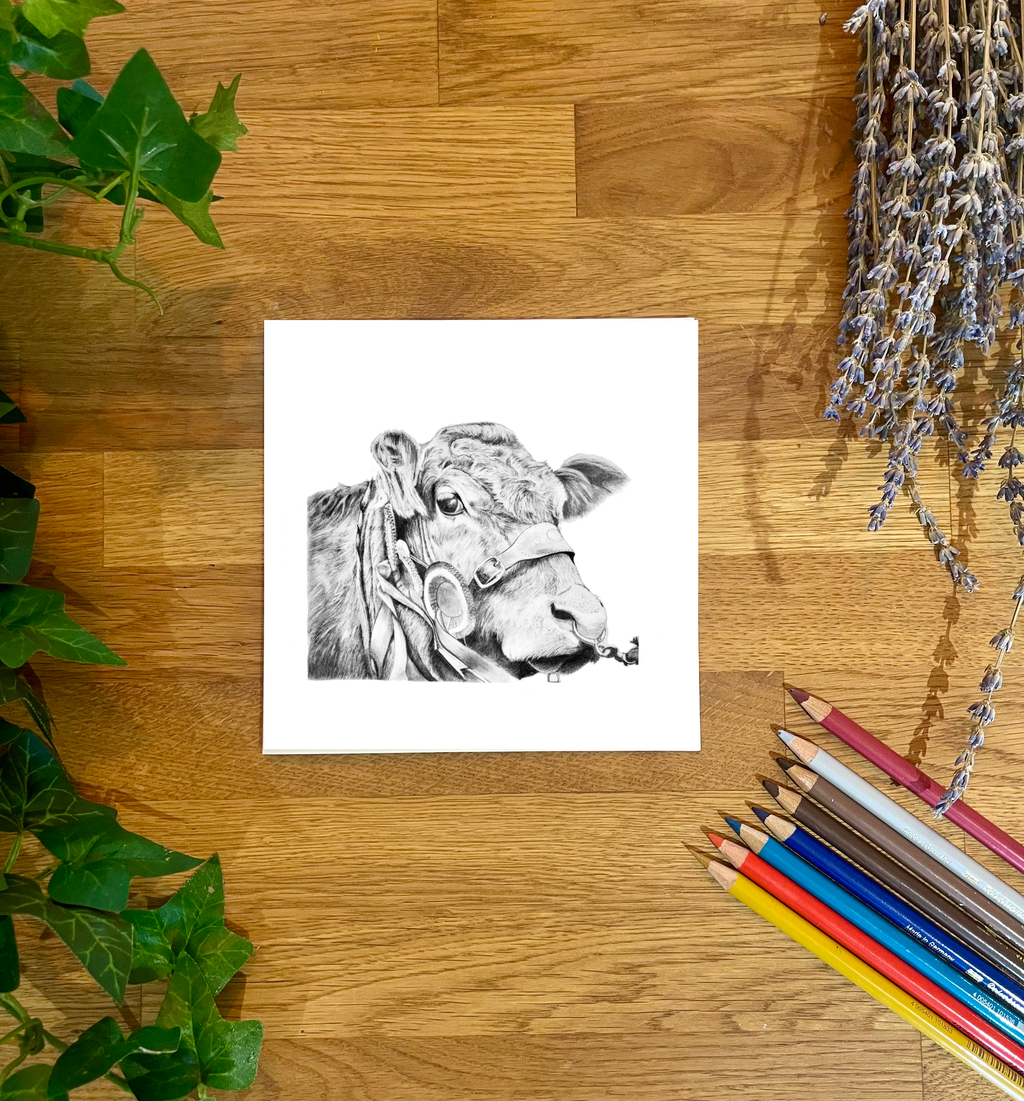 Limousine Bull in Graphite Blank Card