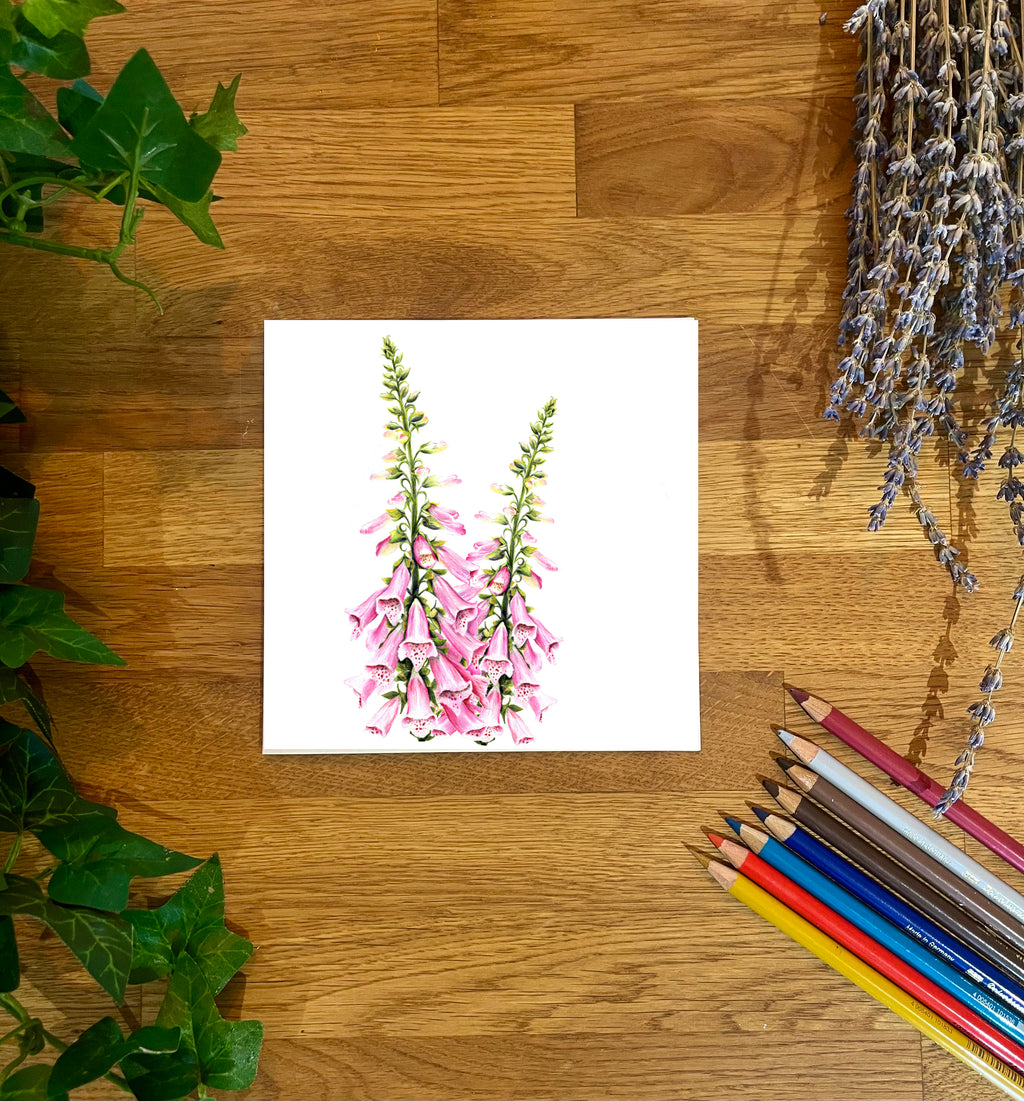 Foxgloves Blank Card