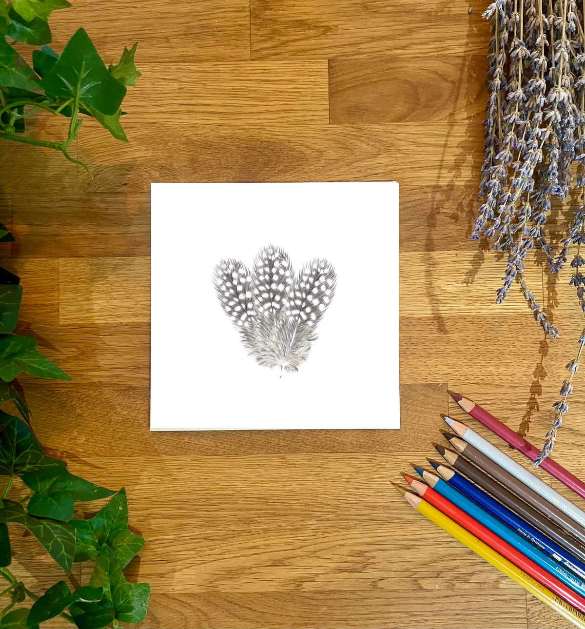Guinea Fowl Feathers x3 Blank Card