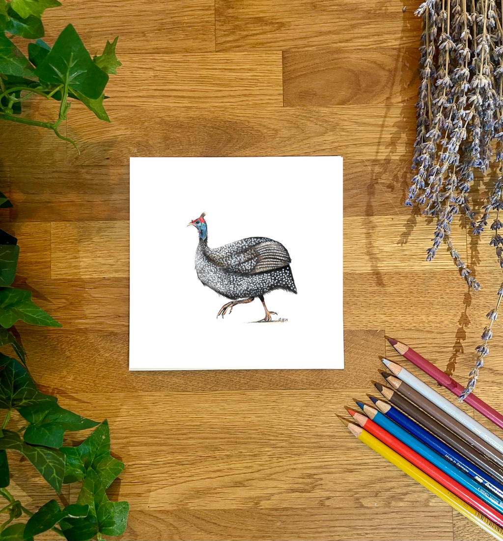 Guinea Fowl Blank Card