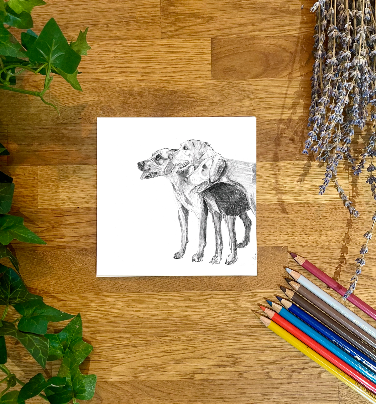 Hounds II Blank Card