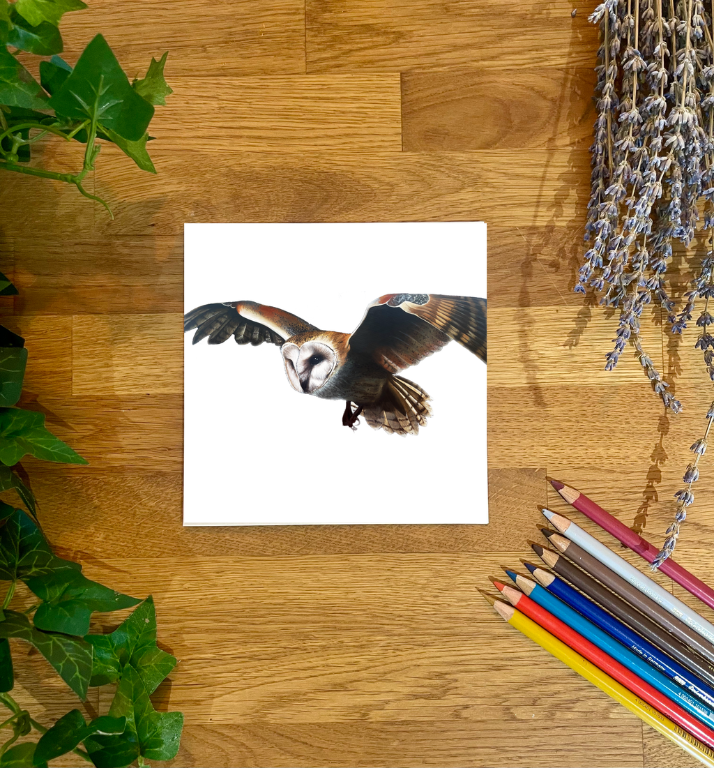 Barn Owl 'Minerva' Blank Card