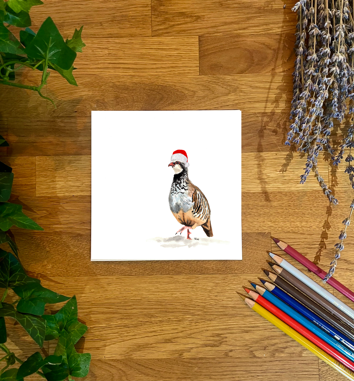 Partridge II in Santa Hat Christmas Card