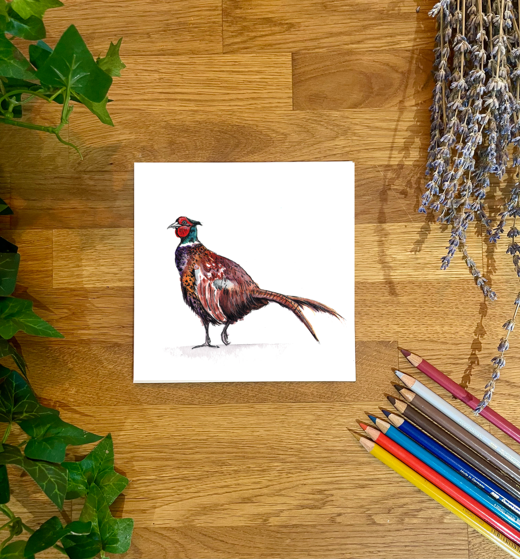 Pheasant Strolling Blank Card