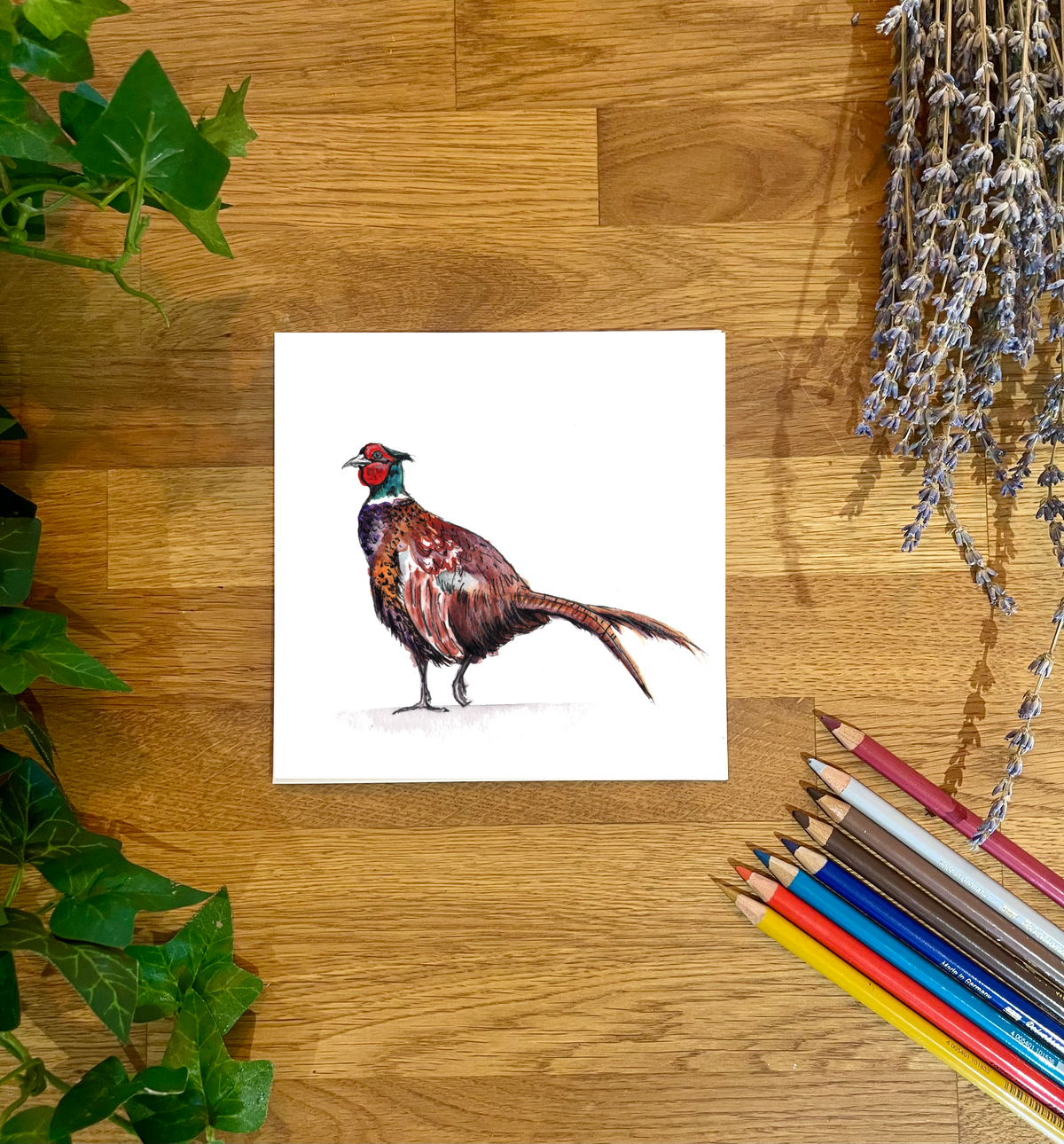 Pheasant Strolling Blank Card