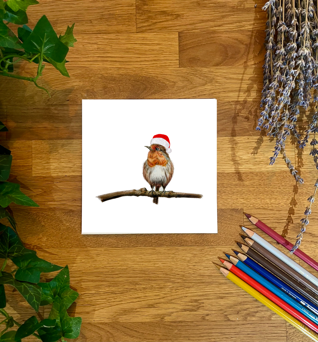Robin Redbreast Greetings Card