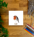 Robin Blank Card
