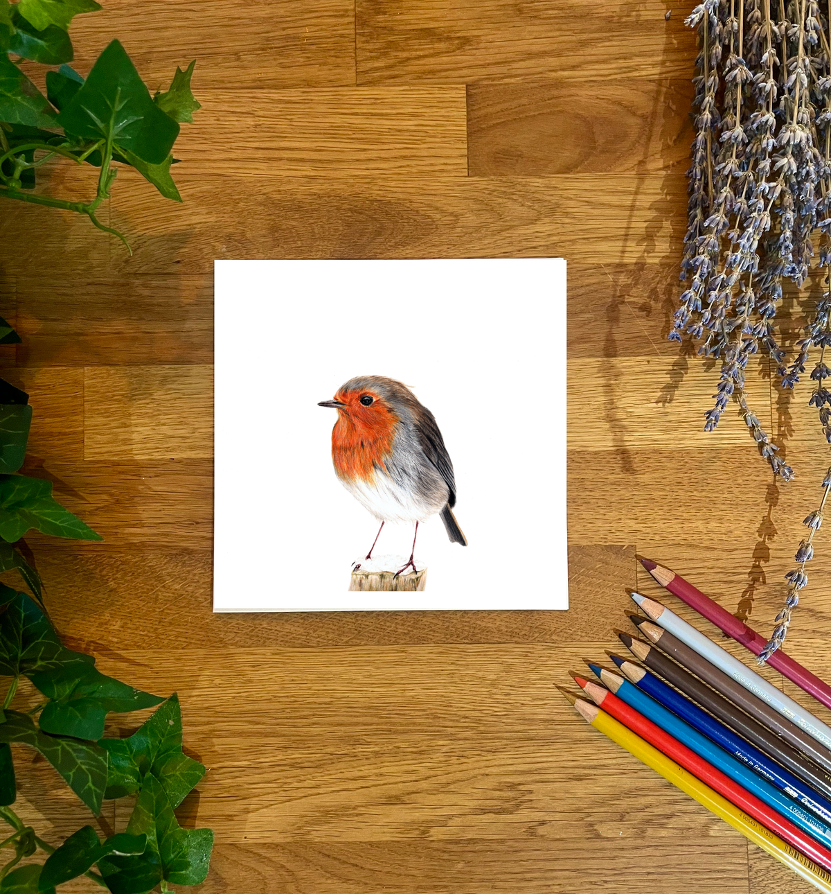 Robin Blank Card