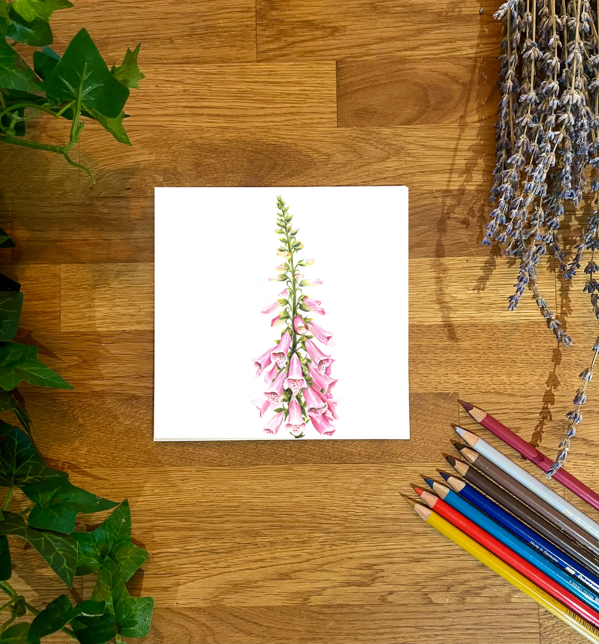Foxgloves Blank Card