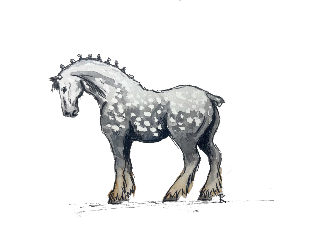 Grey Shire Horse Blank Card