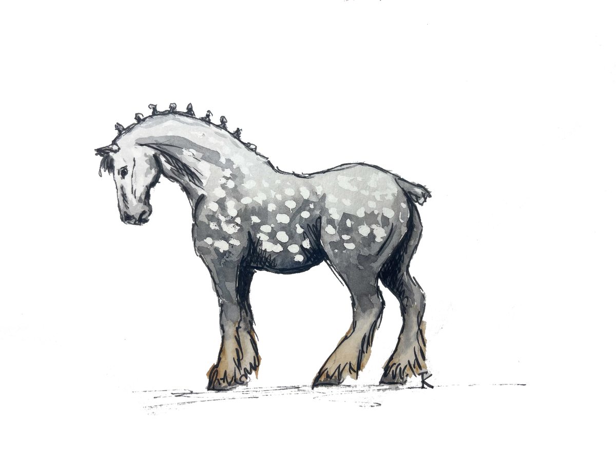Grey Shire Horse Blank Card