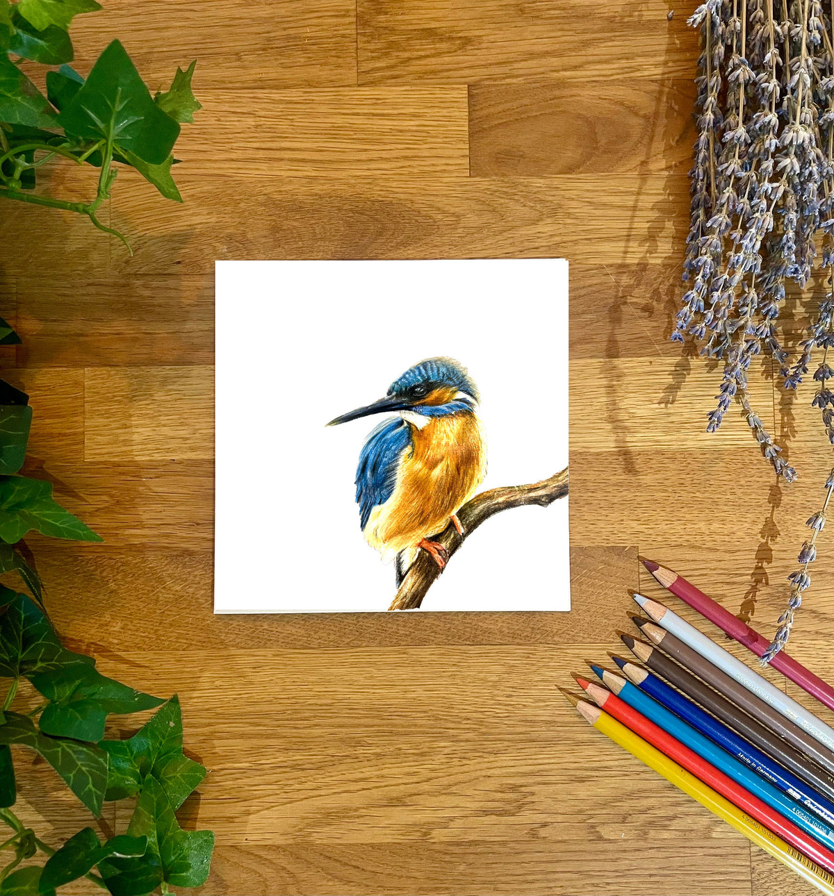 Kingfisher Blank Card