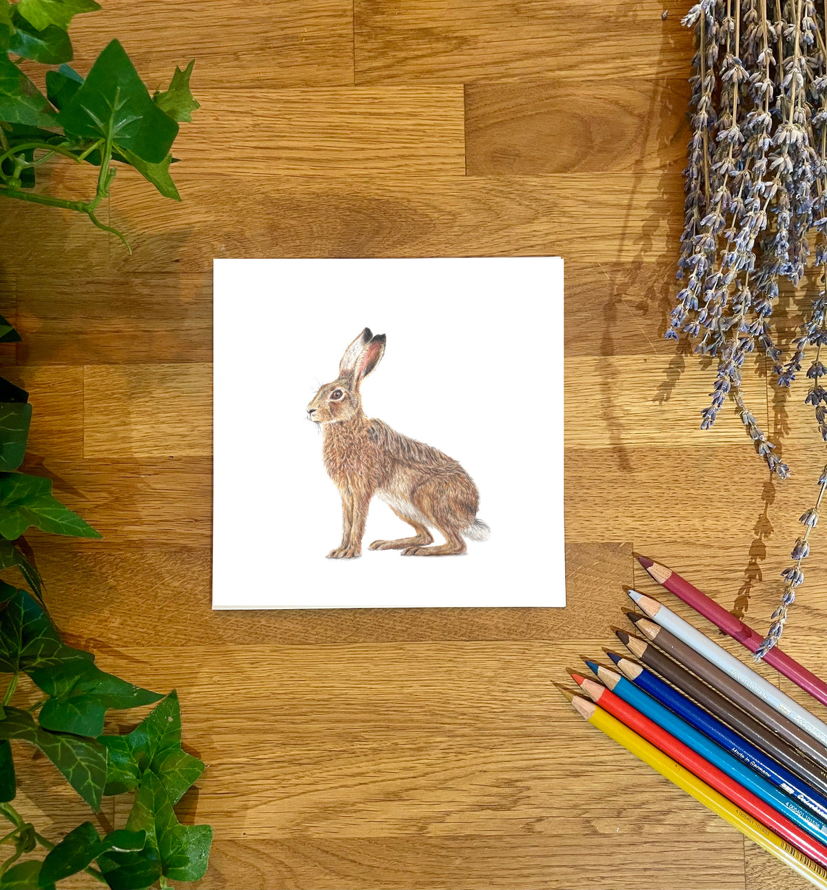 Hare 'Observance' Blank Card