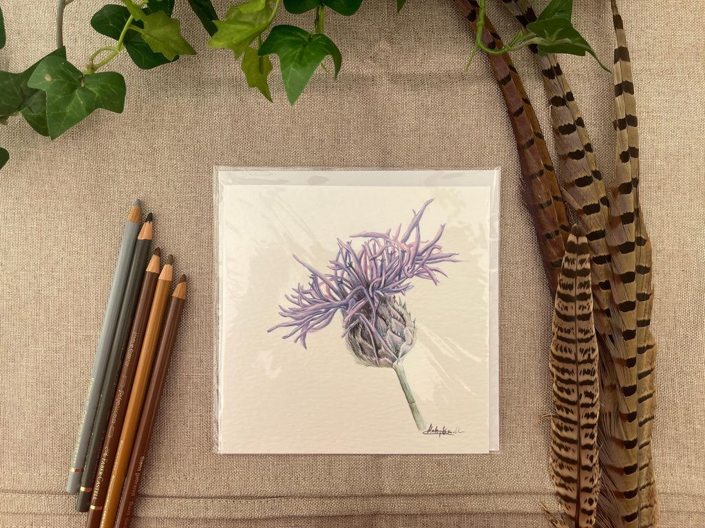 Thistle Greetings Card