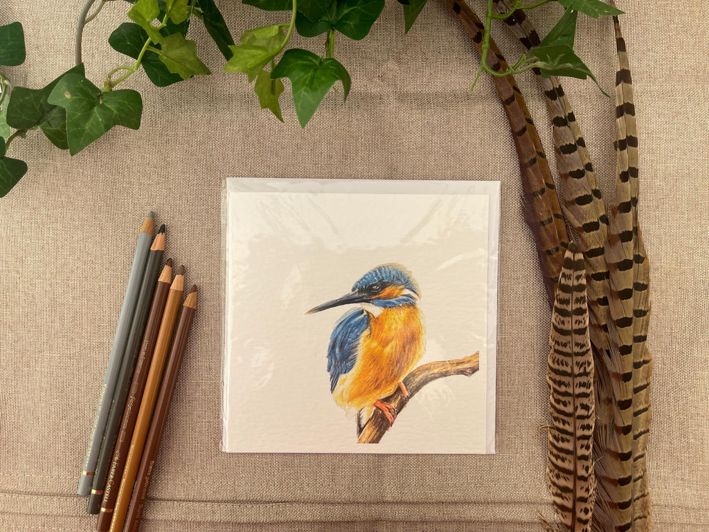 Kingfisher Greetings Card