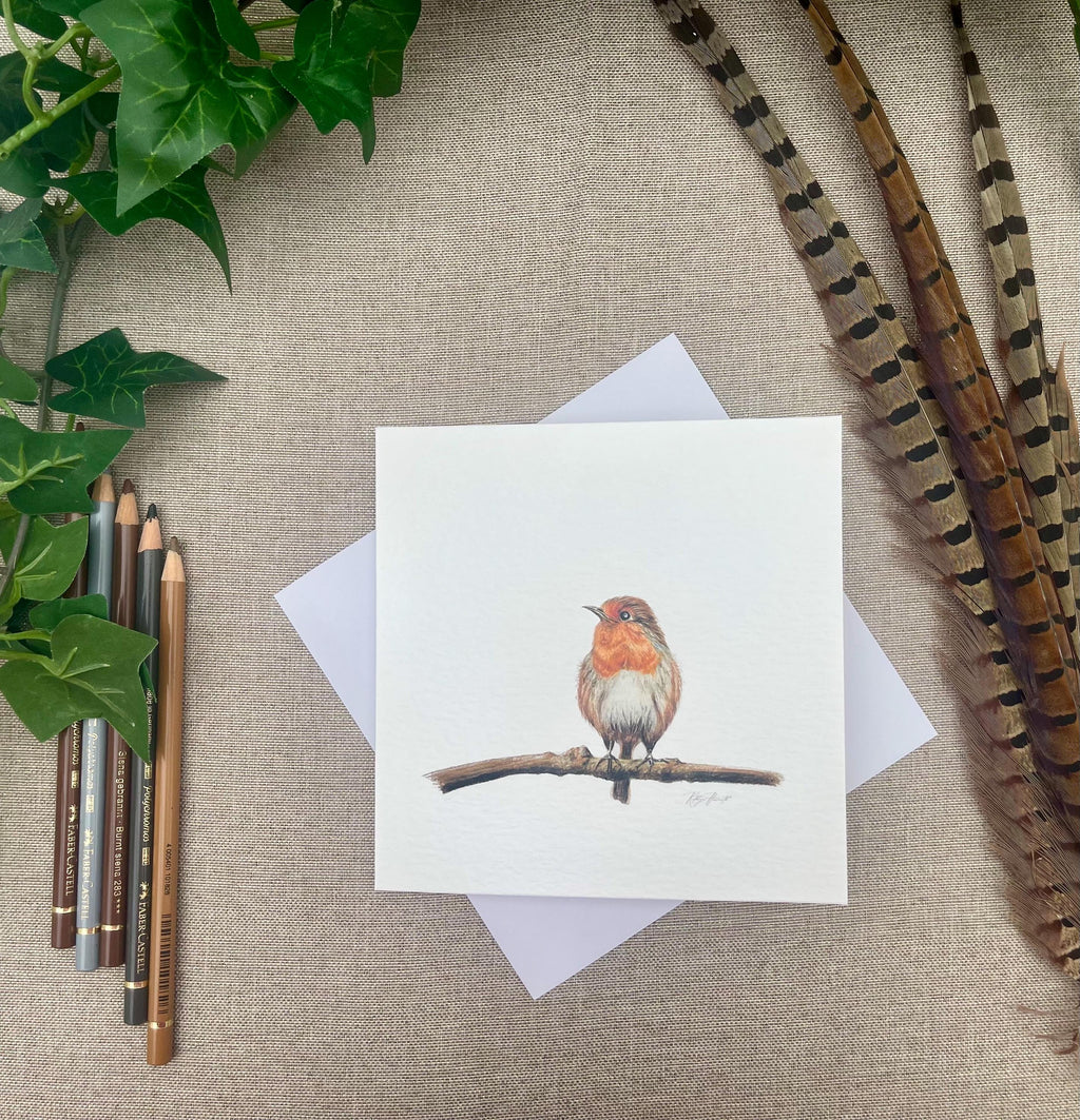 Robin Red Blank Card