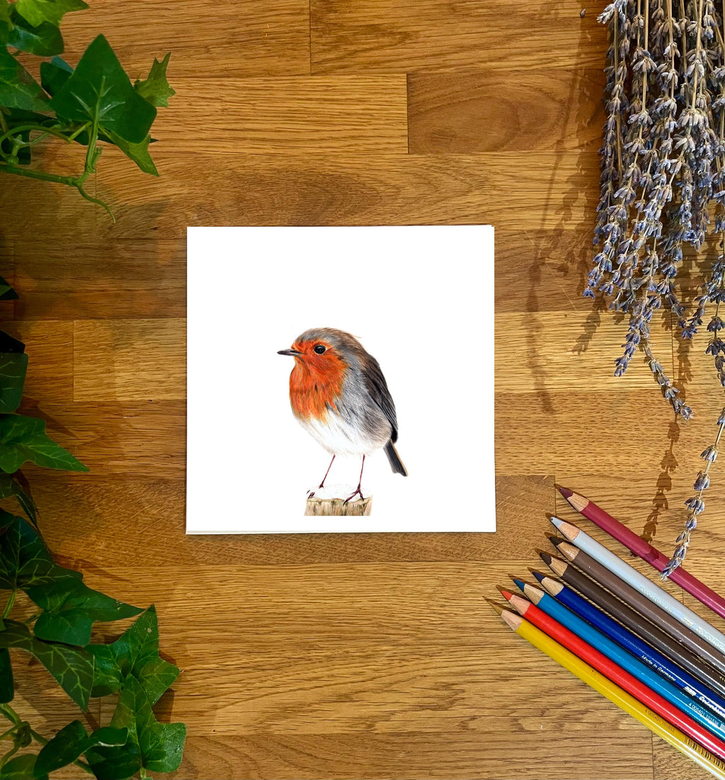 Robin Greetings Card